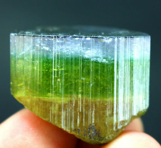 130 CT Terminated Multi-Color Blue Cap Tri-Color Paprok Tourmaline Crystal – Afghanistan